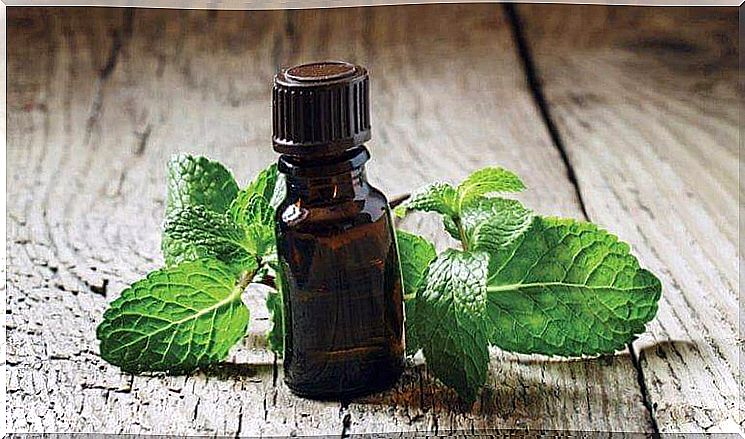 mint oil for dental abscesses