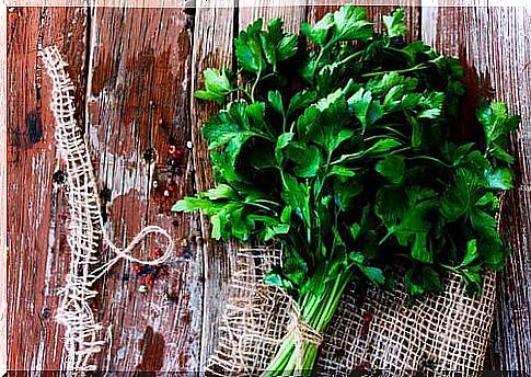 Parsley branches