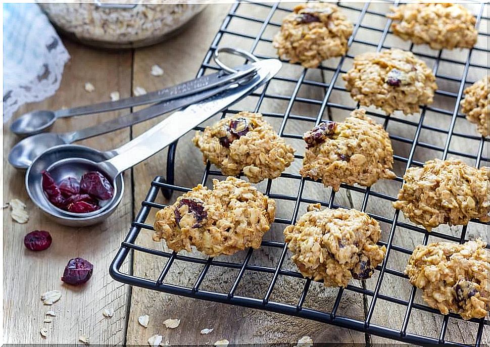 oatmeal cookies without yeast