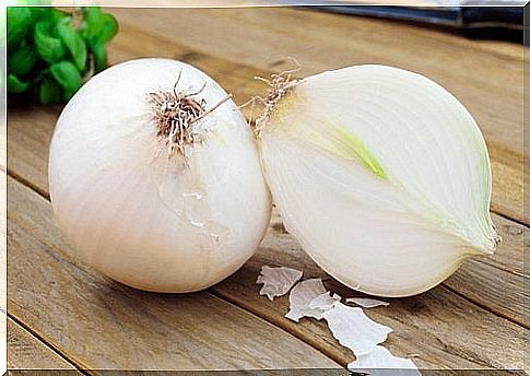 benefits of onions for kidney function