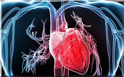 Chirimoya and cardiovascular health 