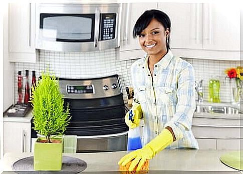 A woman cleaning her kitchen.