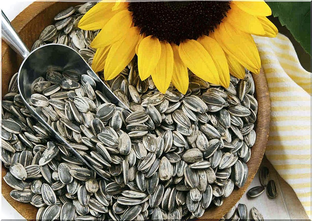 You can have healthy hair with sunflower seeds