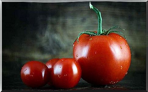 how to plant tomatoes?