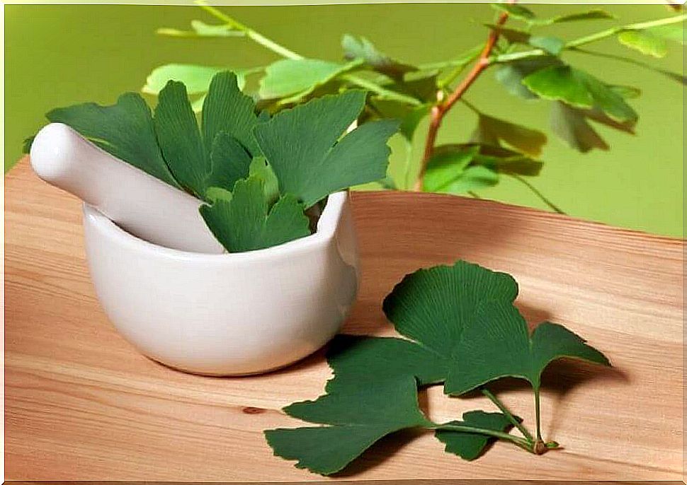 Ginkgo biloba to treat heavy legs.