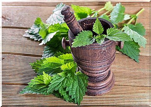 How to treat bronchitis in a natural way: nettle infusions