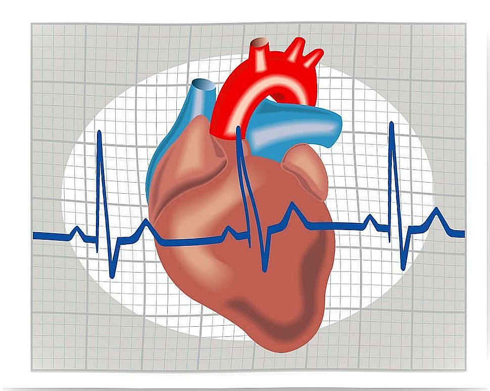 The diagram of the heart