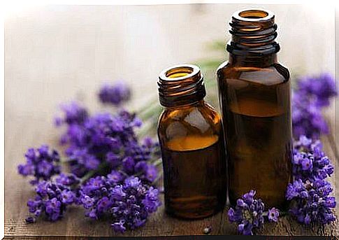 lavender for migraine