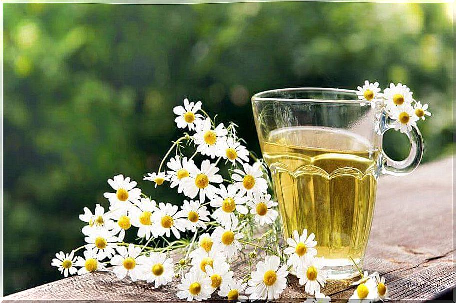 Chamomile against blisters.