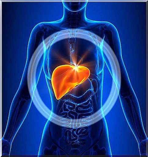 The need to cleanse your liver