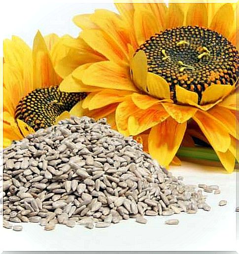 Sun-flower seeds