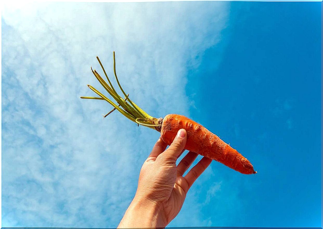 A woman holding a carrot.