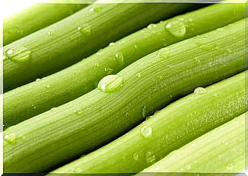 celery during pregnancy